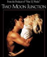 Смотреть Онлайн Слияние двух лун / Two Moon Junction [1988]